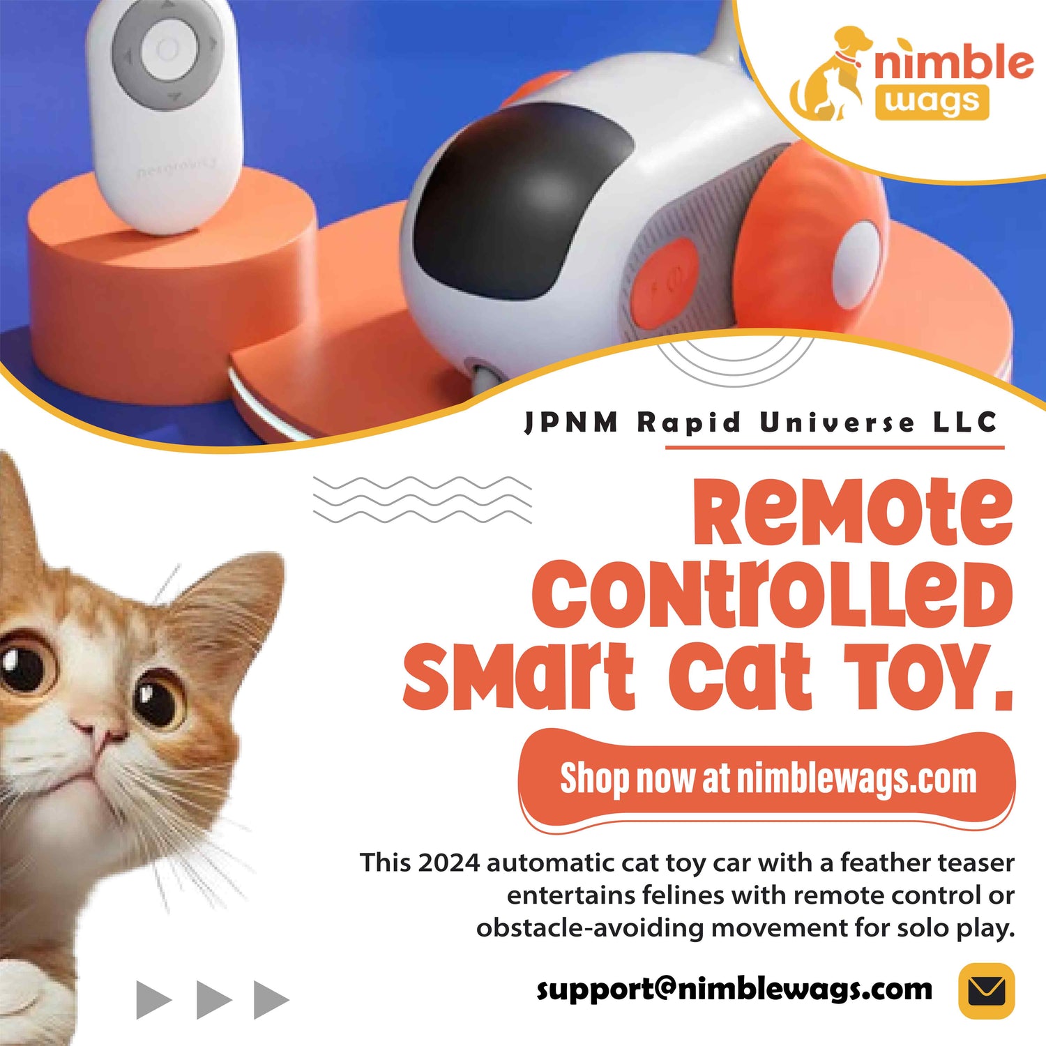 Remote Controlled Cat Toy Video