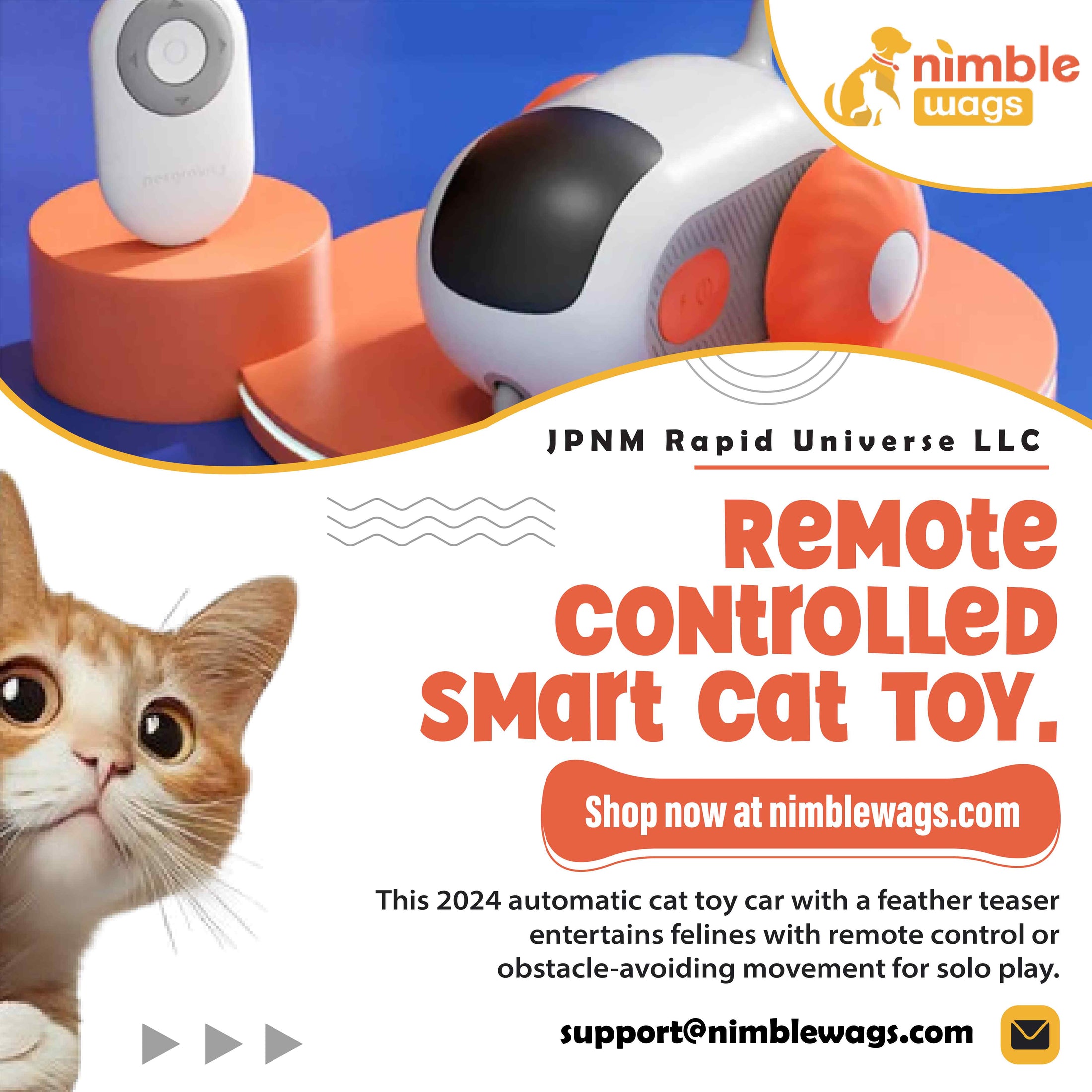 Remote Controlled Cat Toy Video