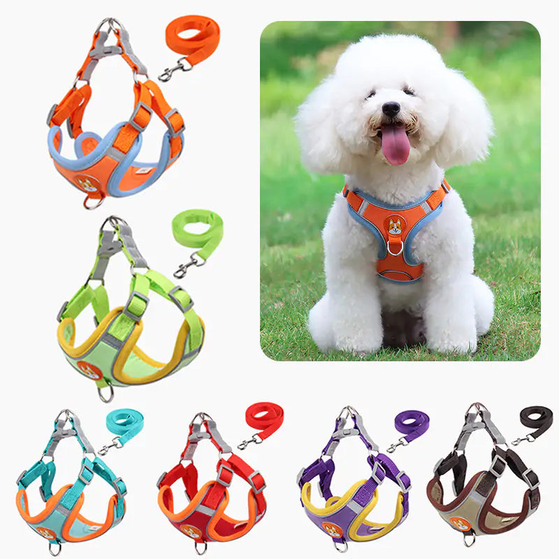 Pet adjustable harness 