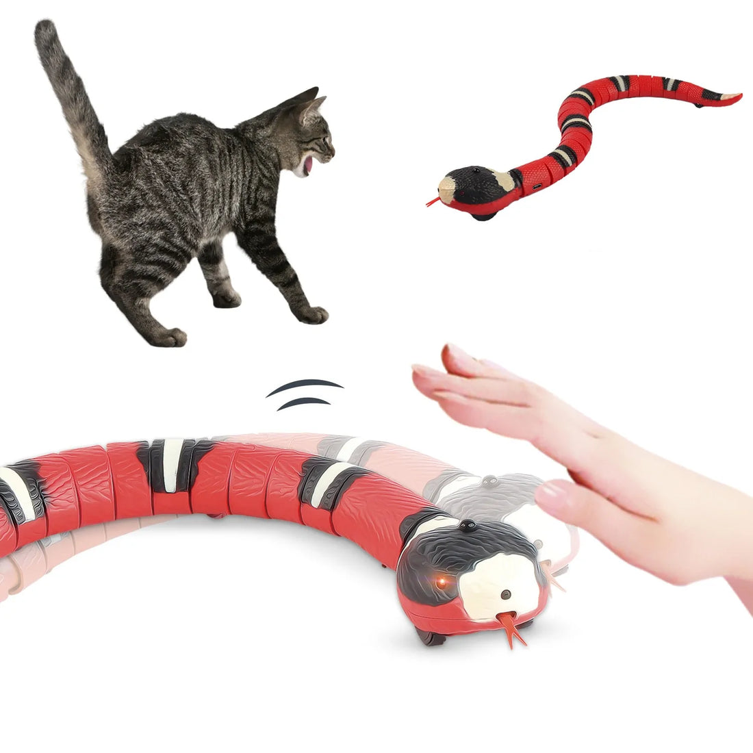 Automatic Snake Toy
