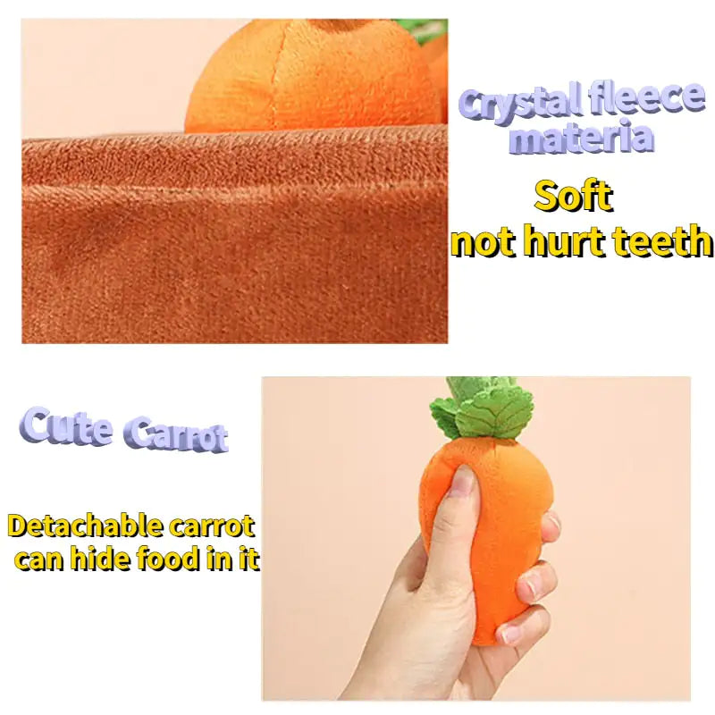 Carrot Farm Toys