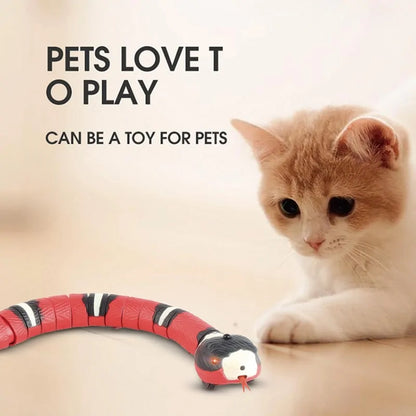 Automatic Snake Toy