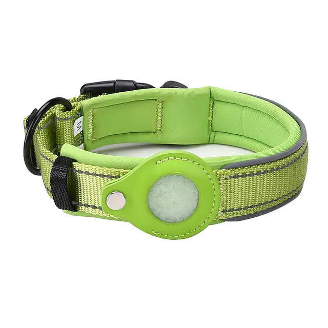 anti theft dog collar