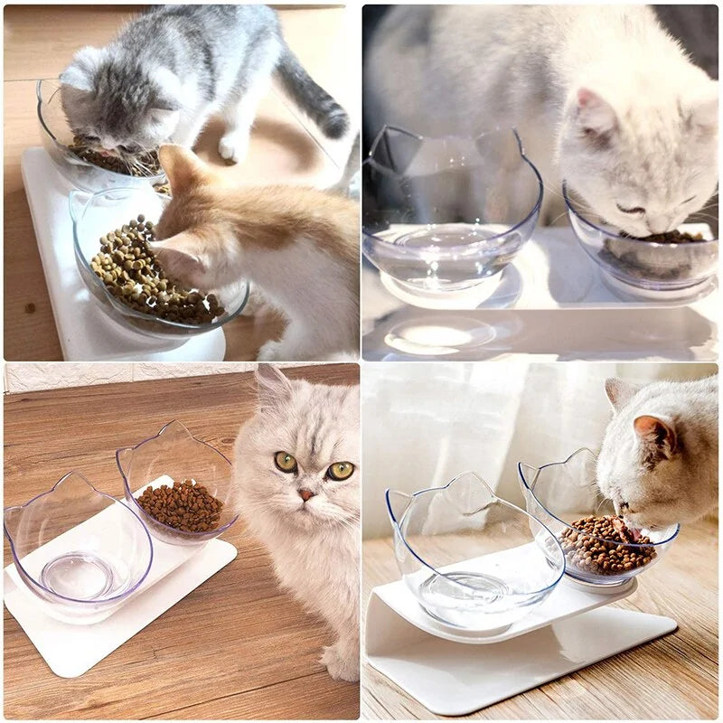 Cat Feeding Bowl