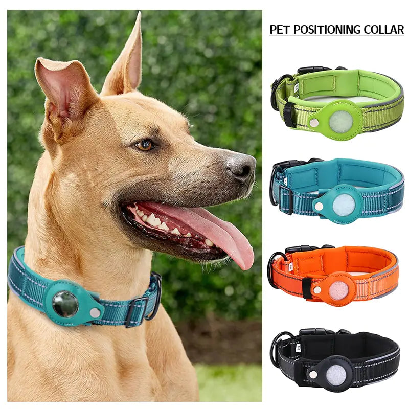 anti theft dog collar