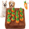 Carrot Farm Interactive Pet Chew Toys