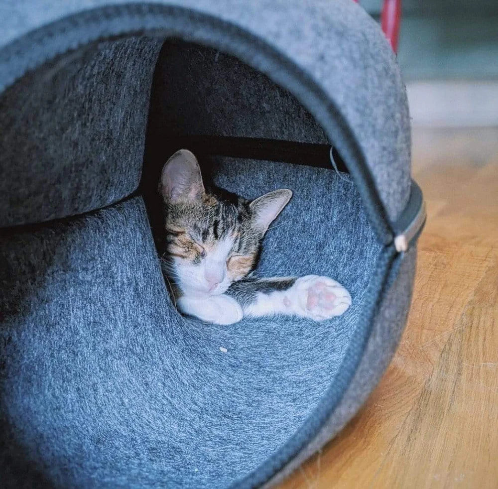 Cat Tunnel bed Peekaboo