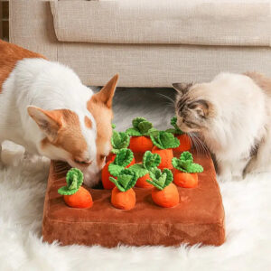 Carrot Farm Interactive Pet Chew Toys