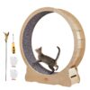 Cat Exercise Wheel