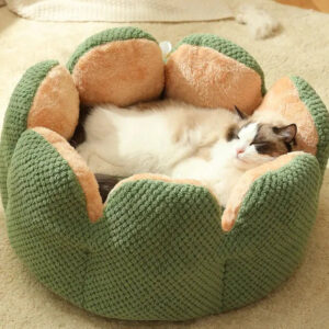 The Fluffy Cactus Bed - Cat Bed for Indoor