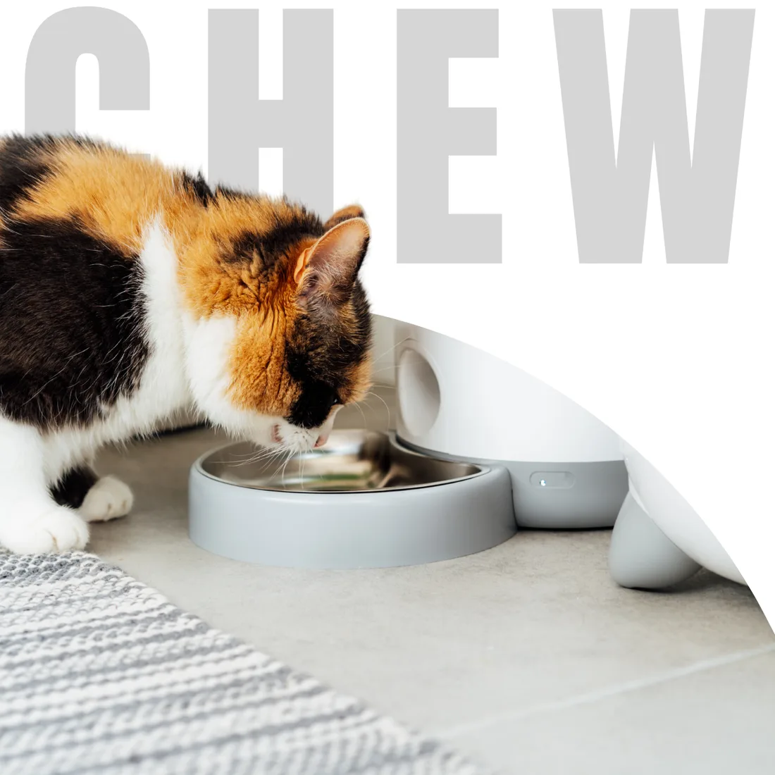 Pet feeding essentials