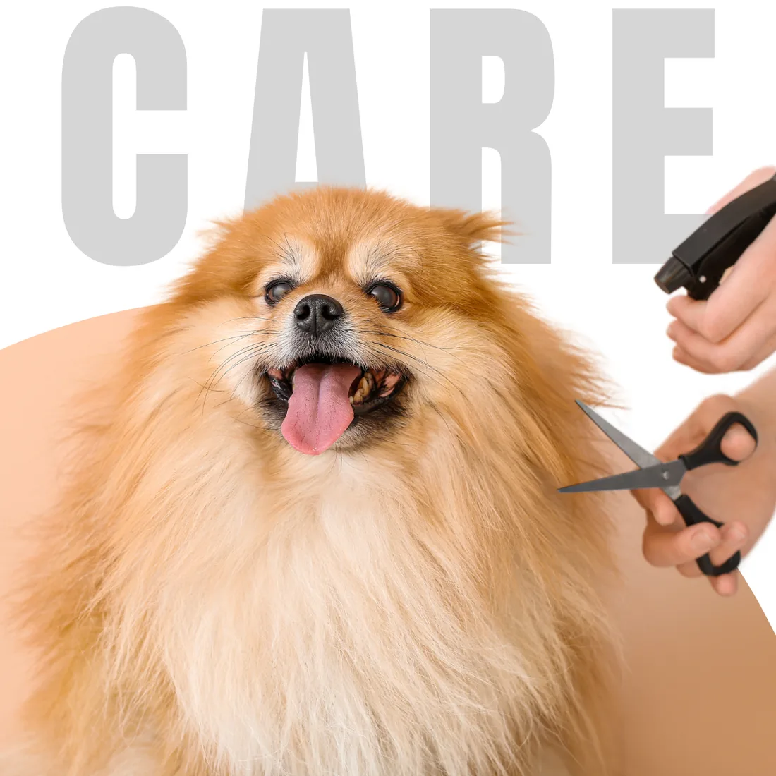 Pet care and grooming
