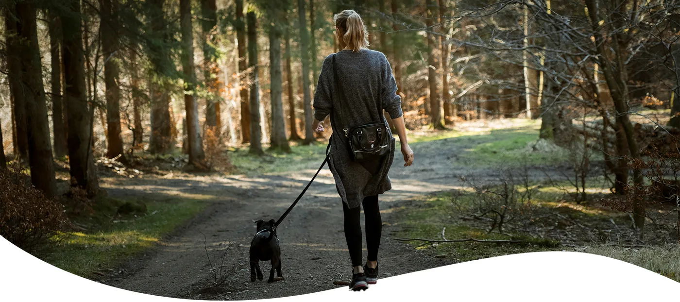 Pet Travel