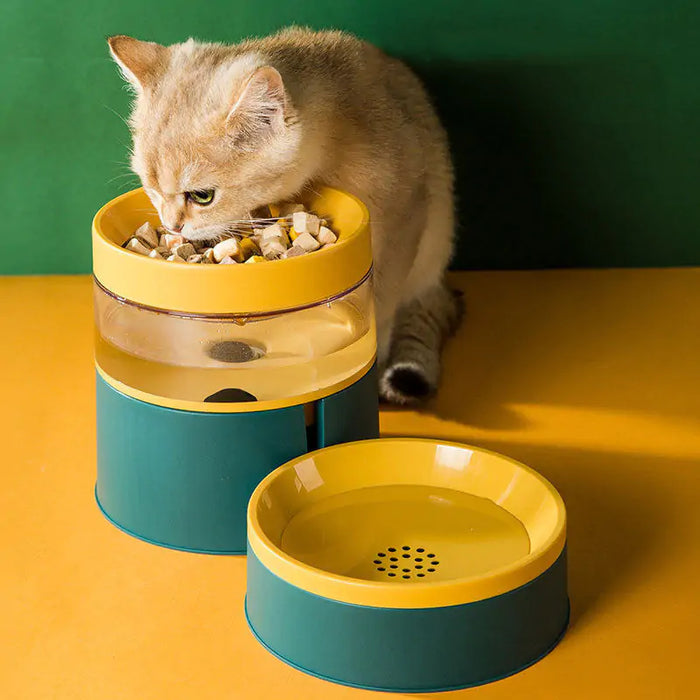 Pet Feeding