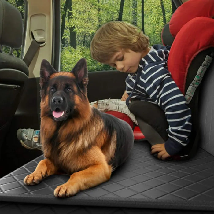 Pet Travel